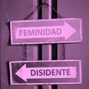 Feminidad Disidente